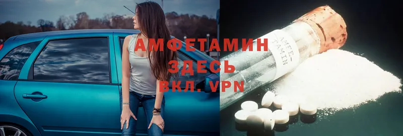 сколько стоит  Нюрба  Amphetamine Розовый 